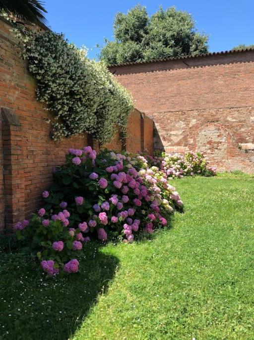 Palazzo Sabbioni Appartamento Lusso Due Camere Soggiorno Cucina Ferrara Exterior foto